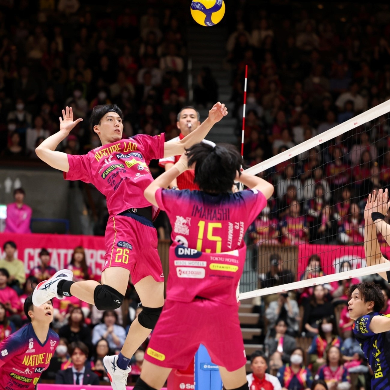 迷人之夏激情哈马 2024哈尔滨马拉松鸣枪开跑