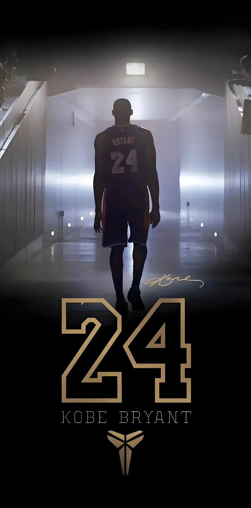 乐鱼官网